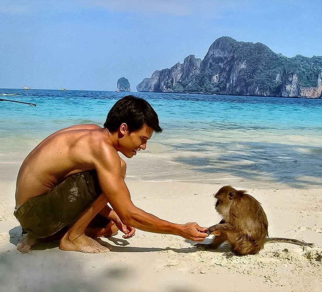 Мужчина обезьяна любовь. Обезьяний остров Тайланд. Манки Бич Тайланд. Паттайя остров обезьян. Обезьяна на пляже.