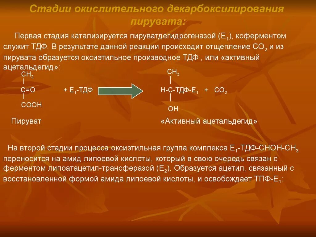 Пировиноградная кислота образуется в результате. Схема реакции окислительного декарбоксилирования пирувата. Декарбоксилирование пировиноградной кислоты реакция. Декарбоксилирование пировиноградной кислоты. Реакции декарбоксилирования пировиноградной кислоты (пирувата).