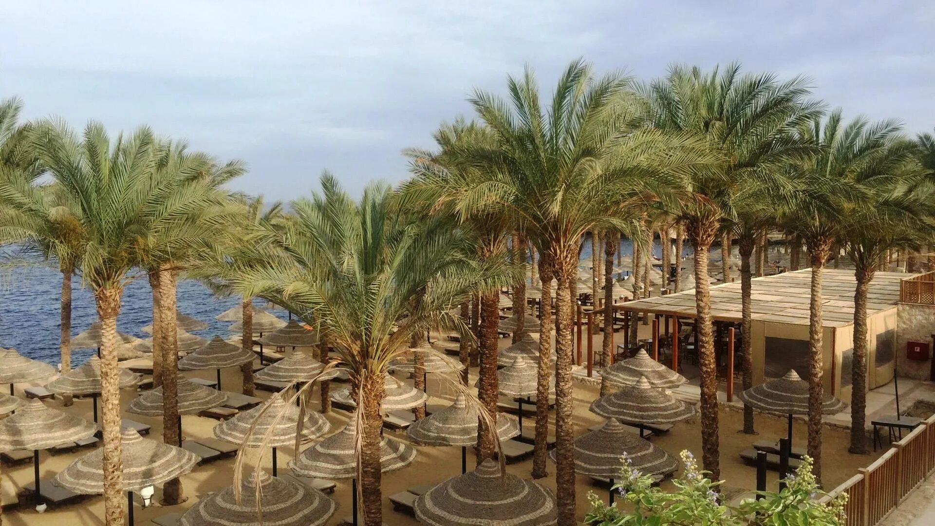 The grand hotel sharm el sheikh. Шарм-Эль-Шейх. Египет,Хадаба,Seti Sharm. Grand Hotel Sharm 5 пляж. Seti Sharm 4 Шарм-Эль-Шейх.