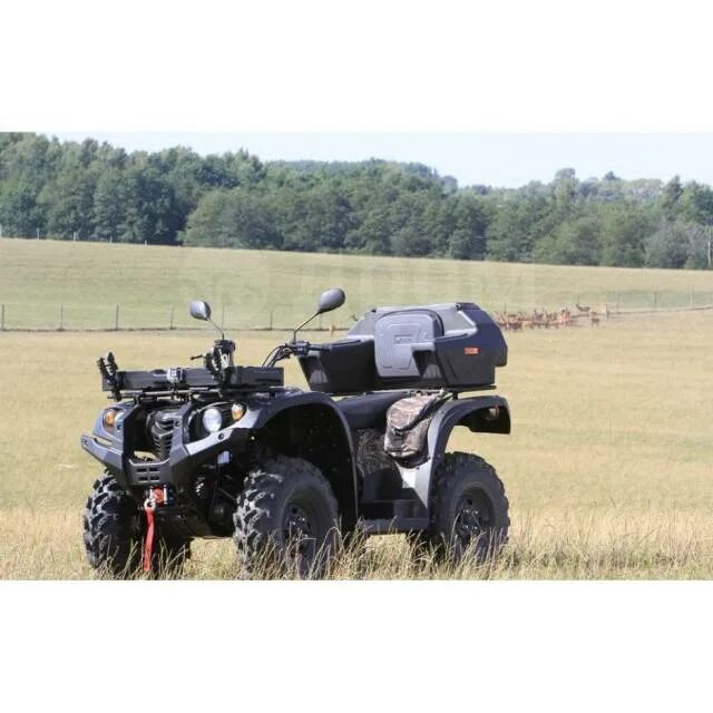 Квадроцикл балтмоторс 500. Балтмоторс страйкер 500. Striker efi. Квадроцикл baltmotors striker 500. Квадроцикл baltmotors striker 500.
