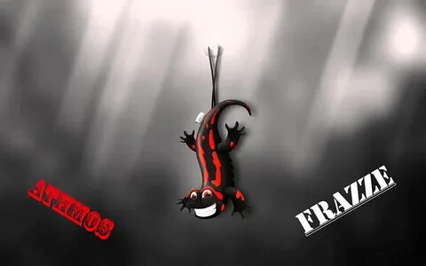 Gecko linux