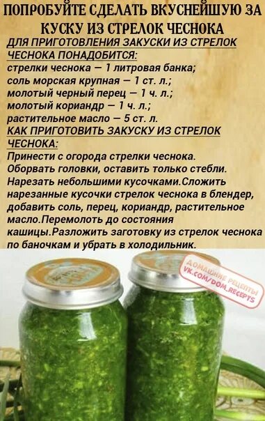 Что можно сделать из чесночных стрелок рецепты. Рецепты из чесночных стрелок. маринад для чесночных стрелок. чесночные стрелки польза. калорийность чесночных стрелок.