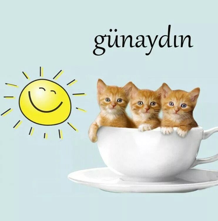 Доброе утро картинки на турецком языке мужчине