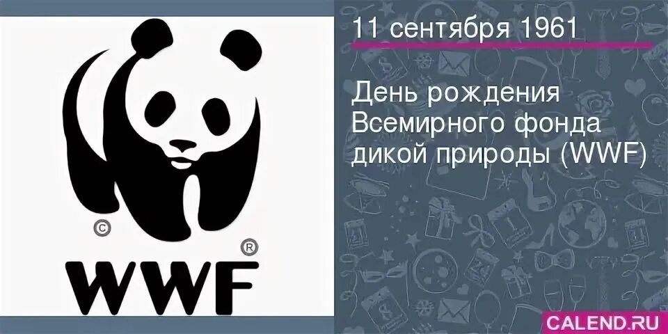 Какое животное служит эмблемой всемирного фонда дикой