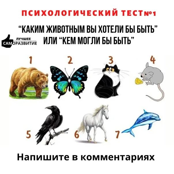 Назовите известных вам животных. Тест с животными психологический. Психологический тест собака. Психологический тест с картинками животных. Сколько собак на картинке психологический тест.