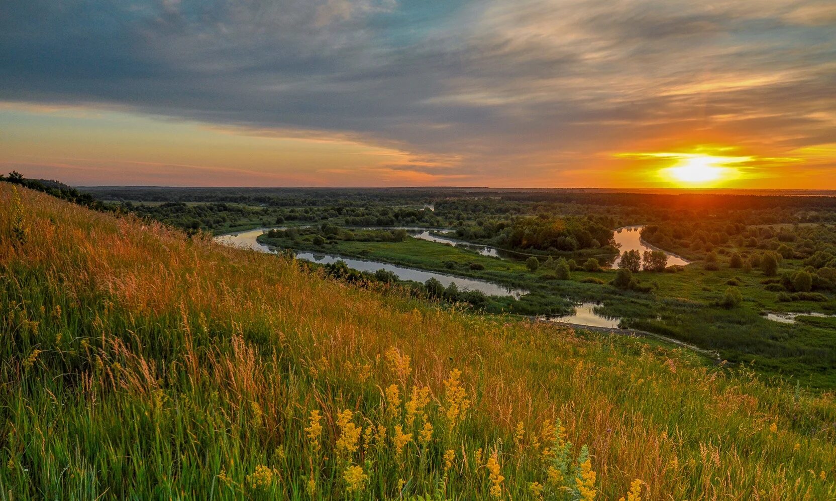 Картинка родная природа. Барская гора Инжавинский район. Паревка Барская гора. Барская гора Инжавино. Воронинский заповедник Барская гора.