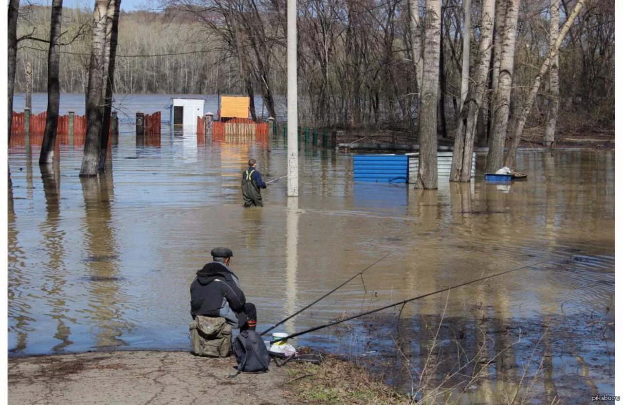Лысые горы паводок. Аббакумово пекша половодье. Легостаево бердь. Весенний паводок. Бердь река паводок.