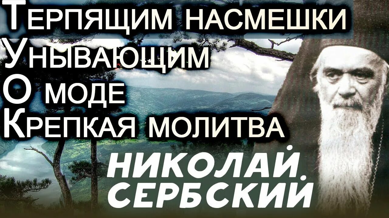 Терпеть насмешки. Дух проповеди Православие.