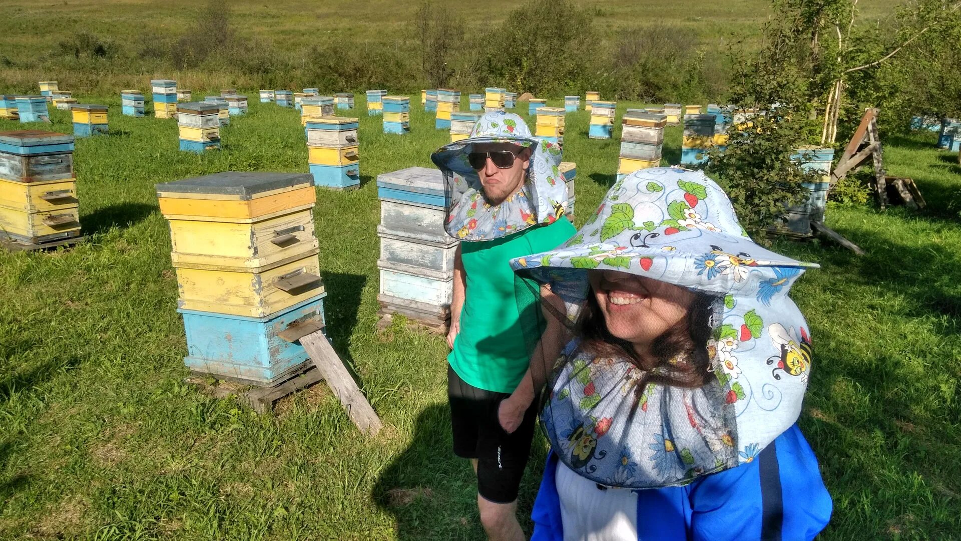 Пасека в чемале горный алтай. Пасека 13 горный алтай. Медом в ухо бирюзовая катунь. Пасека 13 чемал. Медом в ухо бирюзовая катунь.