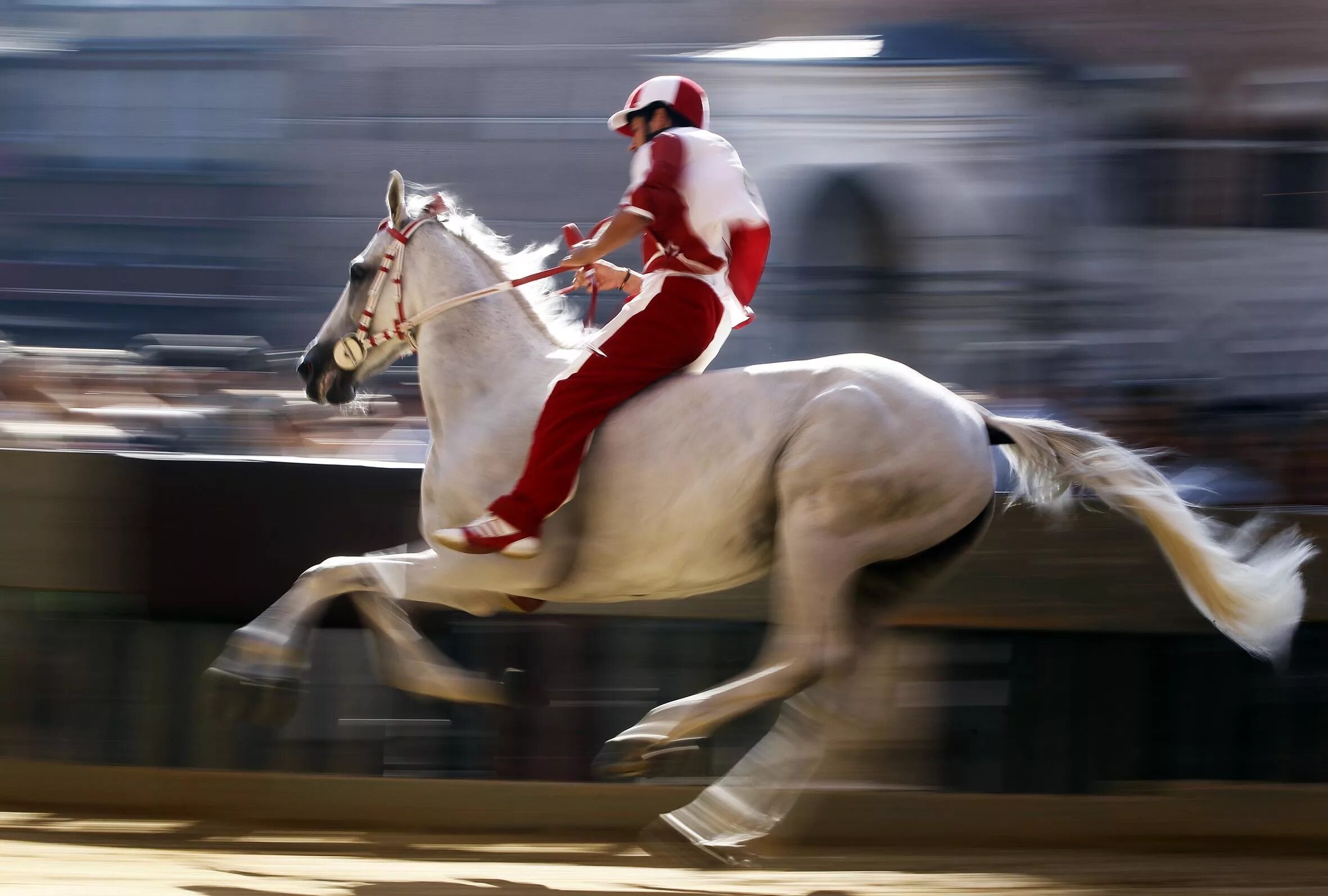 Стадо барашек. Фильм лошади и люди исландия. Дорпер порода овец. Скачущий на коне они выдержат заблеют ягнята. Лошадь на дыбах с человеком.