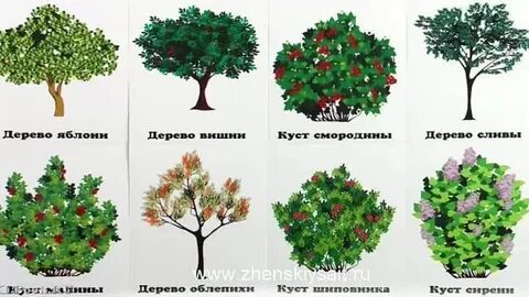 Куста куста одежда