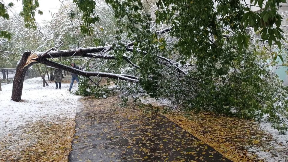 Кусок снега. Снег сегодня влажный липкий лепим. Искусственный снег. Поделки с искусственным снегом. Снежные фигуры лёгкие.