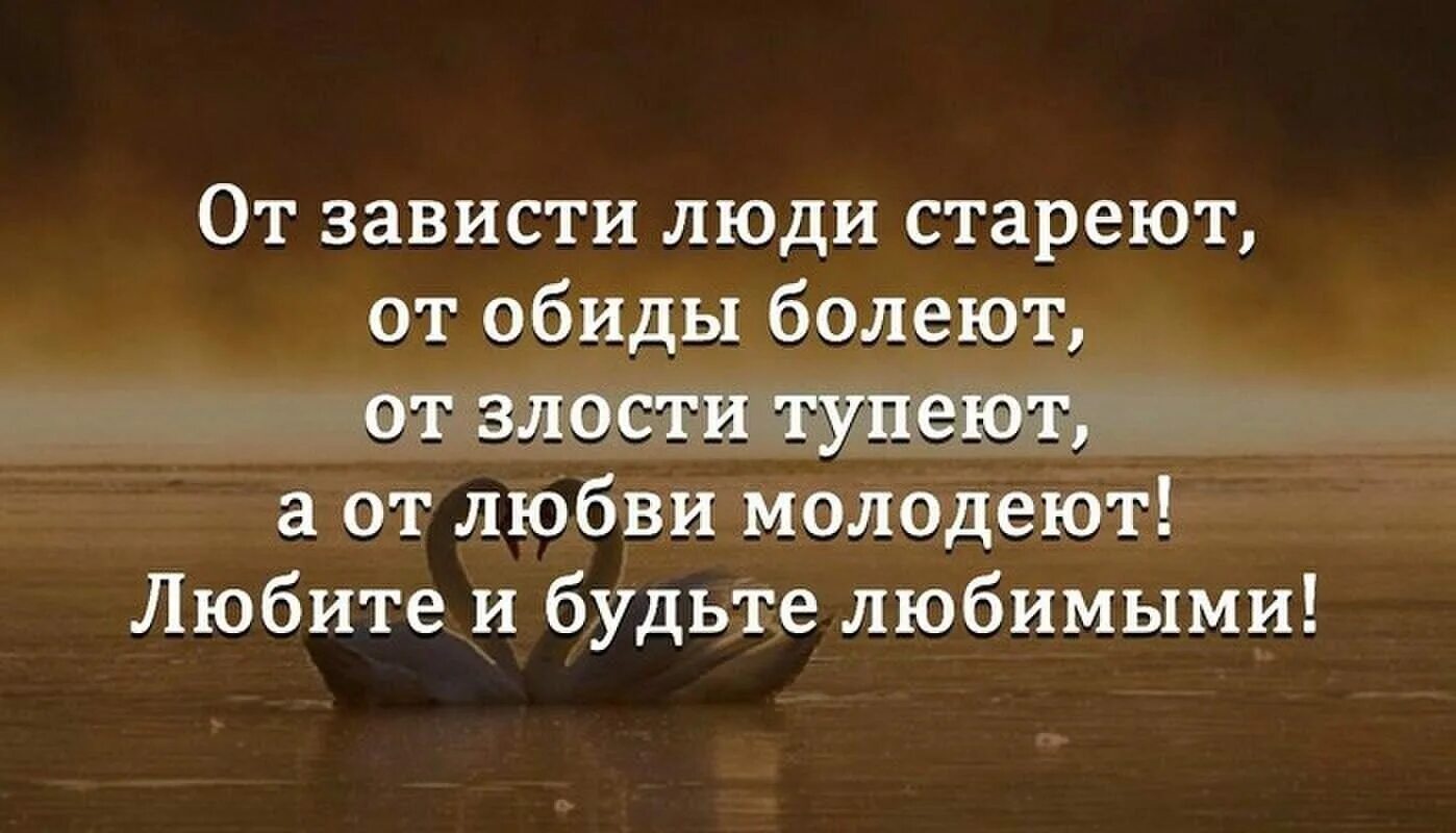 Есть слово обидься. Умные цитаты. Зависть цитаты. Высказывания про зависть и злобу. Высказывания про зависть.