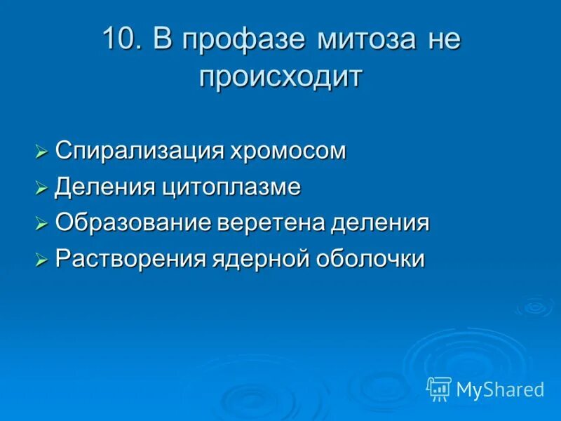 исчезает ядерная оболочка. расхождение центриолей к полюсам клетк. кроссинговер, профаза митоза. митоз метафаза ядерная мембрана. начинает формироваться веретено деления.