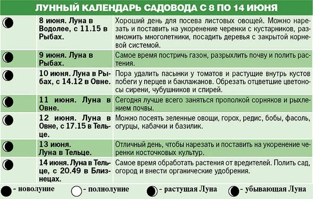 Что можно на растущую луну. Что сажают на растущей Луне. Садить на растущую или убывающую луну. Что можно сеять на растущую луну. Какие овощи сажают на растущей Луне.