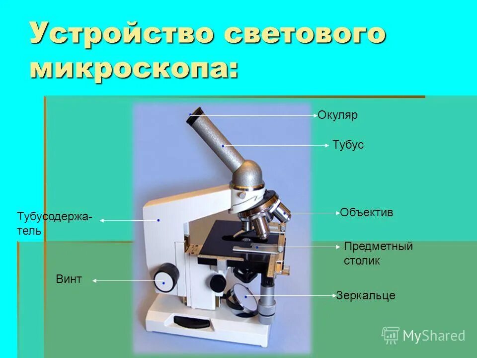 Какую часть работы выполняет окуляр. Окуляр микроскопа строение микроскопа. Строение окуляра микроскопа. Строение микроскопа тубус. Световой микроскоп тубус строение.