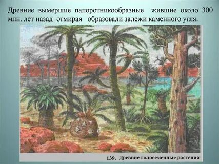 Эра господства голосеменных растений