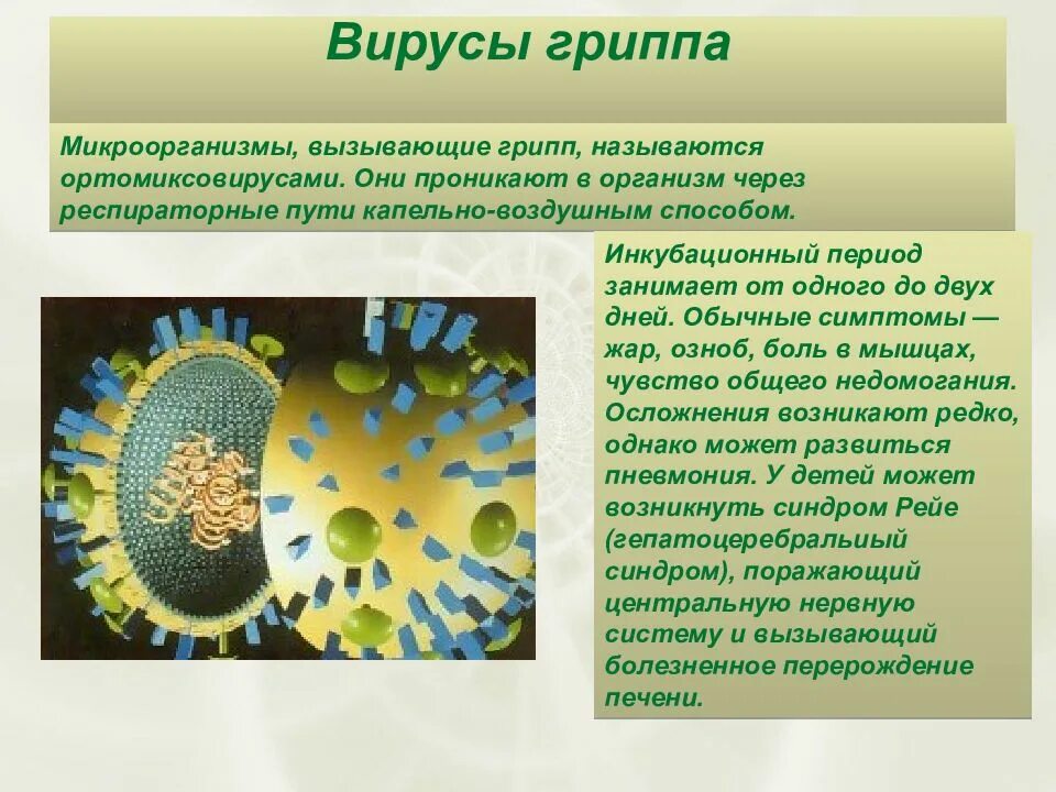 Грипп какие бактерии