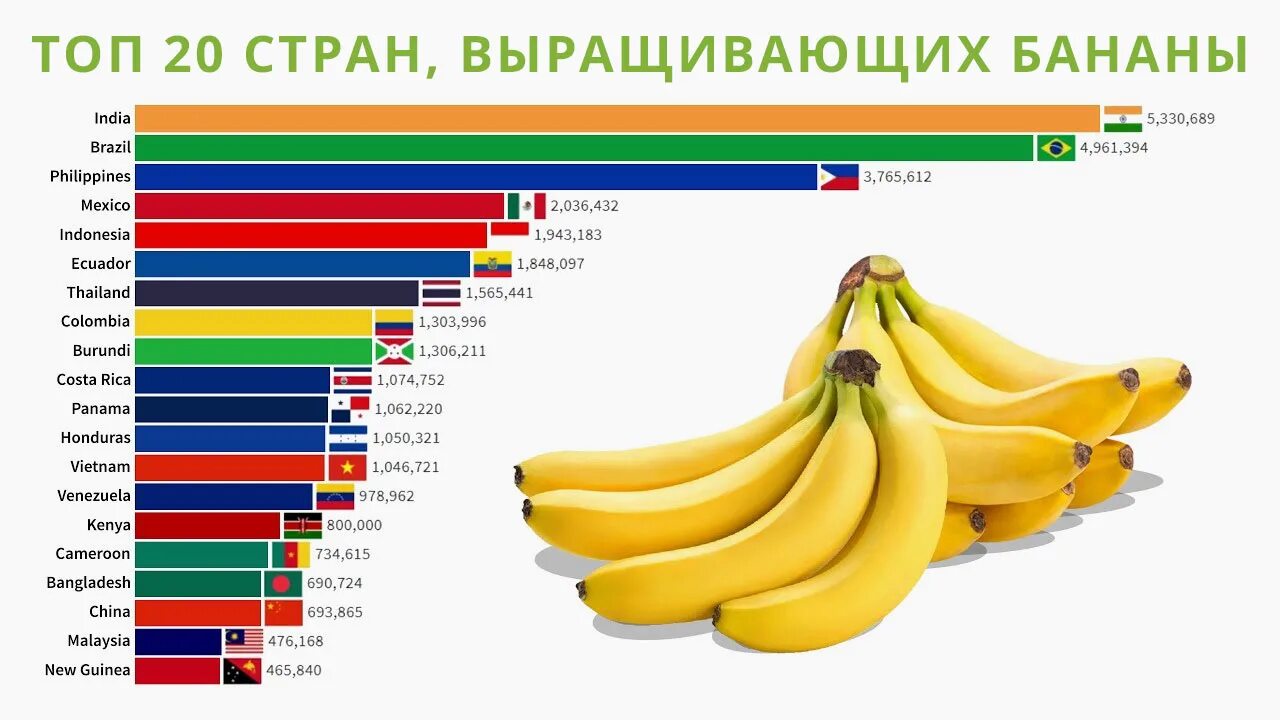 Откуда повезут бананы в россию. Страны по выращиванию бананов. Страны с выращиванием бананов. Крупнейший производитель бананов. Бананы страны производители.