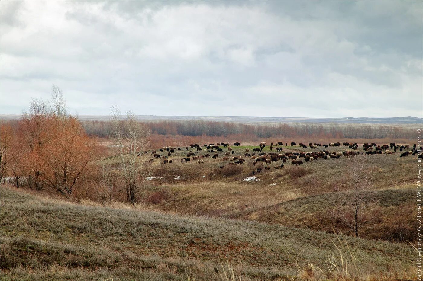 Погода димитровский оренбургская область. Домбаровский поселок. Деревня димитрова. Село димитрово оренбургская область. Село димитрово оренбургская область.