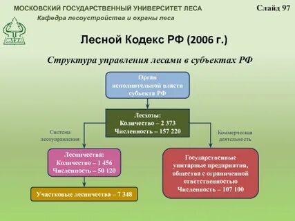Государственное управление лесами
