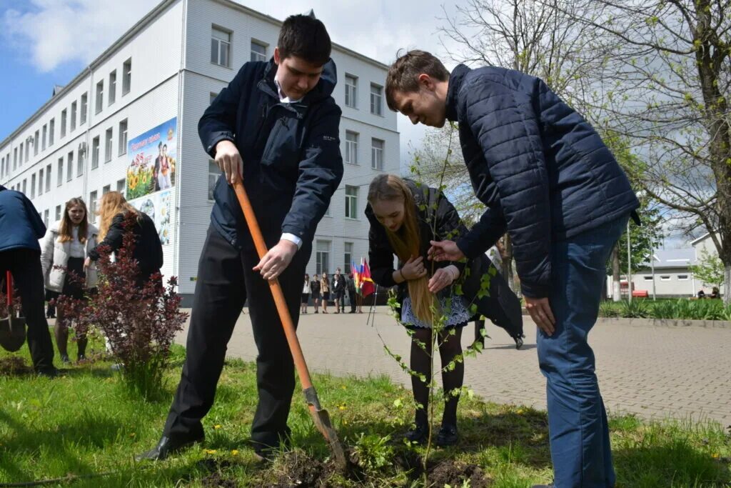 Посадили дерево в честь