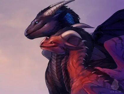 Dragons having