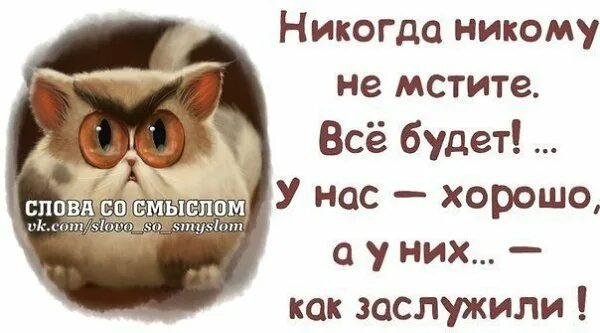 Не обращай внимания на плохих людей. Цитаты не обращай внимания на идиотов. Не обращай внимания на дураков цитаты. Не обращайте внимание на людей цитаты. Будь проще не обращай внимание