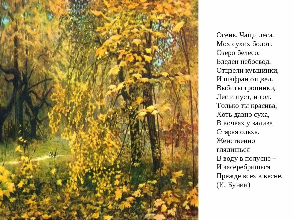Образное изображение осени в стихотворении бунина листопад. Иван бунин осень стихотворение. иван бунин про осенний лес. иван алексеевич бунин стихотворение осень. стих бунина осень чащи леса.