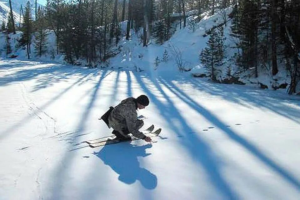 Зму что такое в охоте. Лось в волгоградской области. Зимний маршрутный учет животных по следам. Зимний маршрутный учет охотничьих животных. Сибирские косули амурская область.