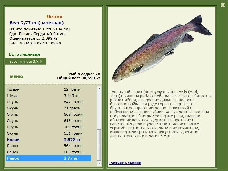 русская рыбалка 3 7 6 финский залив линь. линь в самарской области. какая рыба водится в реке чусовая. рыбалка на суре. окуневые приманки на спиннинг.