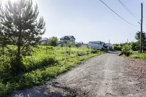 Погода в сосновке кемеровская область новокузнецкий