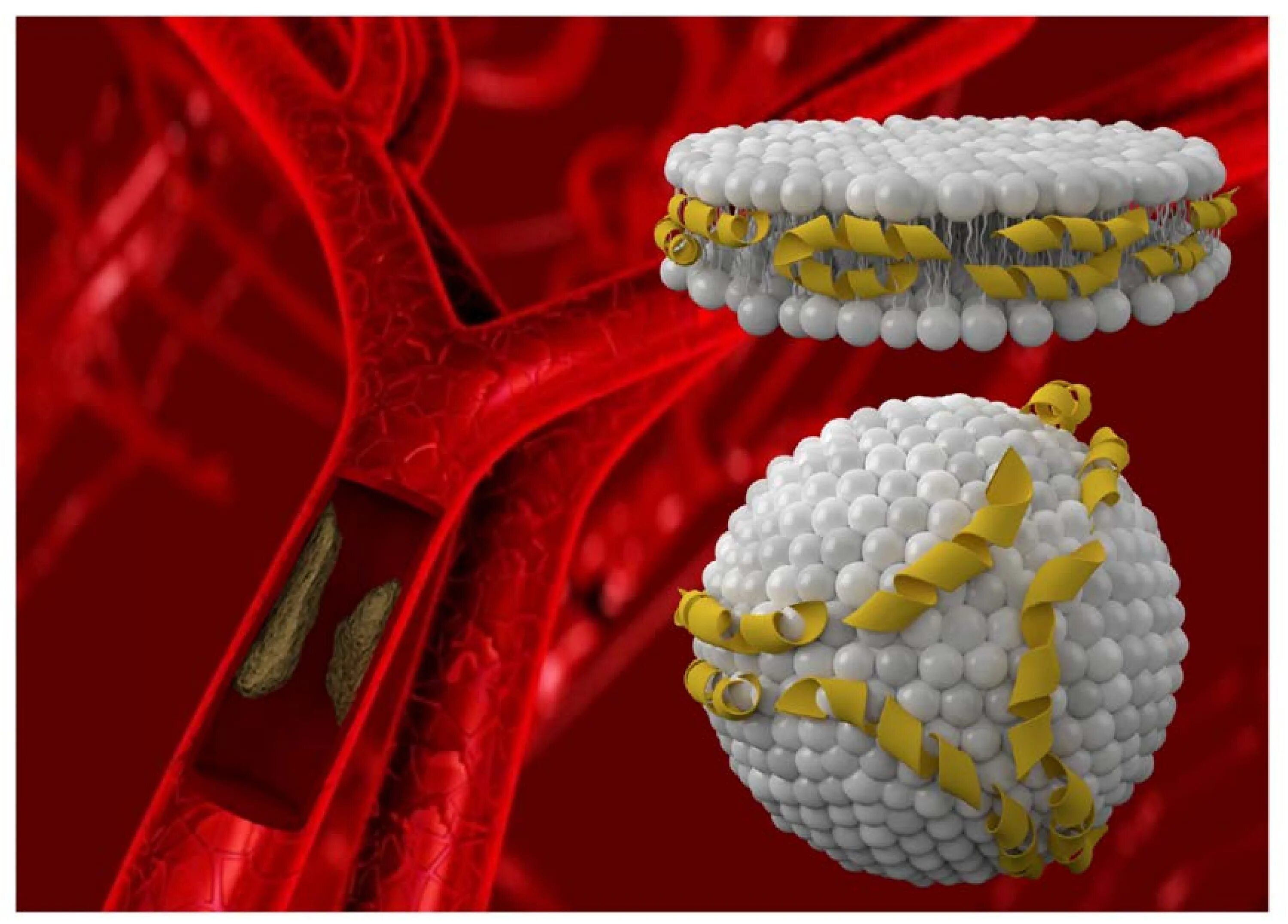 Липопротеины. Липопротеины под микроскопом. Молекула холестерина. Липопротеины заболевания.