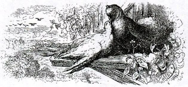 Лафонтен иллюстрации гранвиля. Иван крылов два голубя. Басня два голубя. Басня 2 голубя. Басня два голубя.