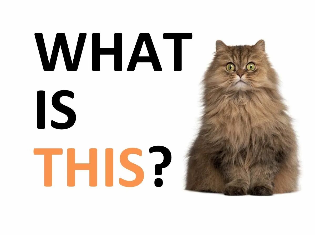 What is over there it s. What is it картинки. What is this картинки. What it was. What is this картинка для детей.