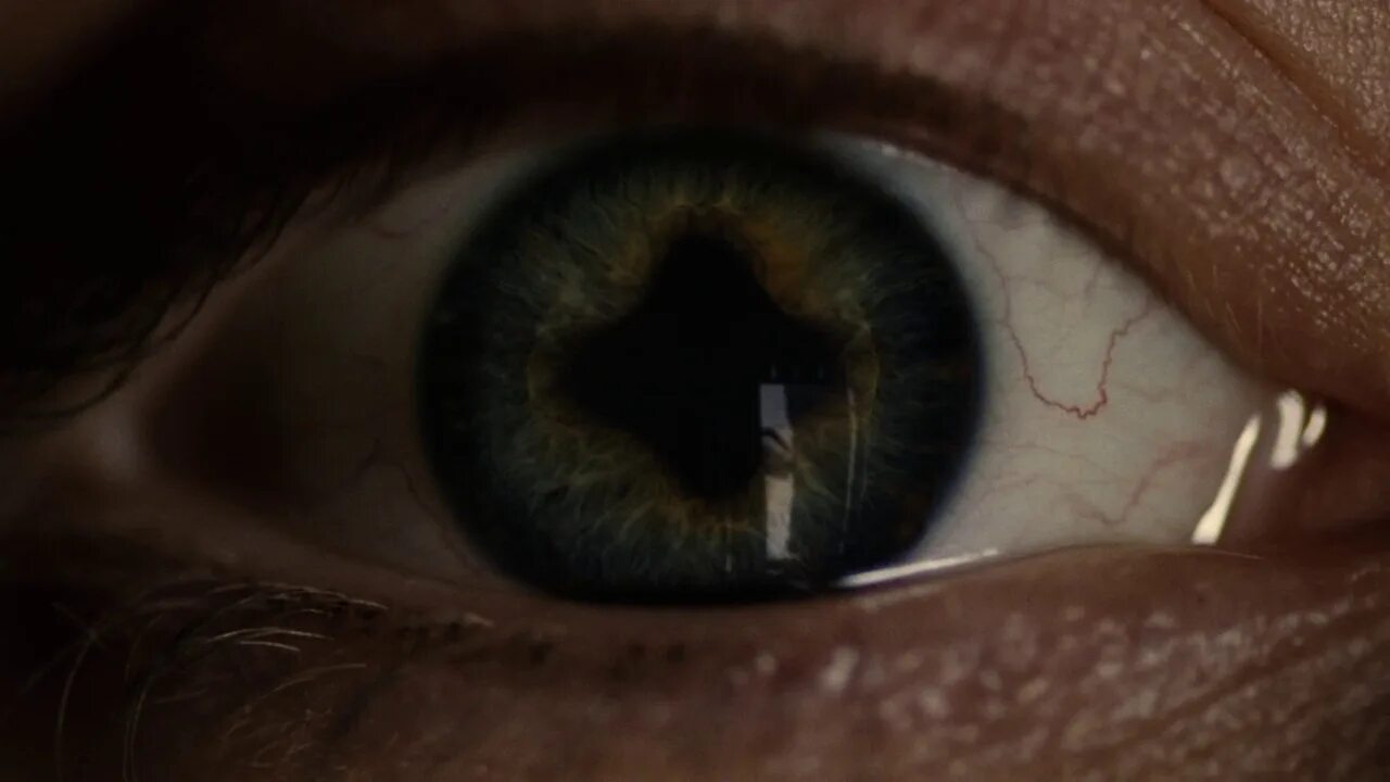 тетрагаметический химеризм. глаз химеры. химера трехглавая. дракон татцельвурм. мантикора dungeons and dragons.