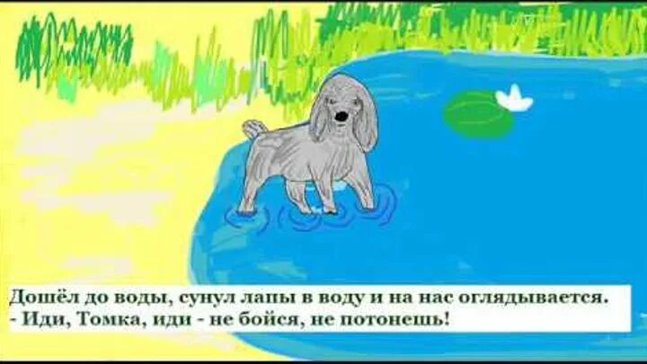 Иллюстрации к рассказу как Томка научился плавать. Томка научился плавать. Рассказ как Томка научился плавать. Чарушин как Томка научился плавать иллюстрации.