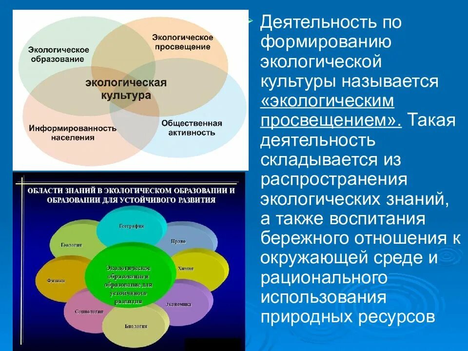 Формирование экологической культуры человек. Формирование экологической культуры человек. Экологическая культура и общество. Культура и экология человека. Экология презентация.