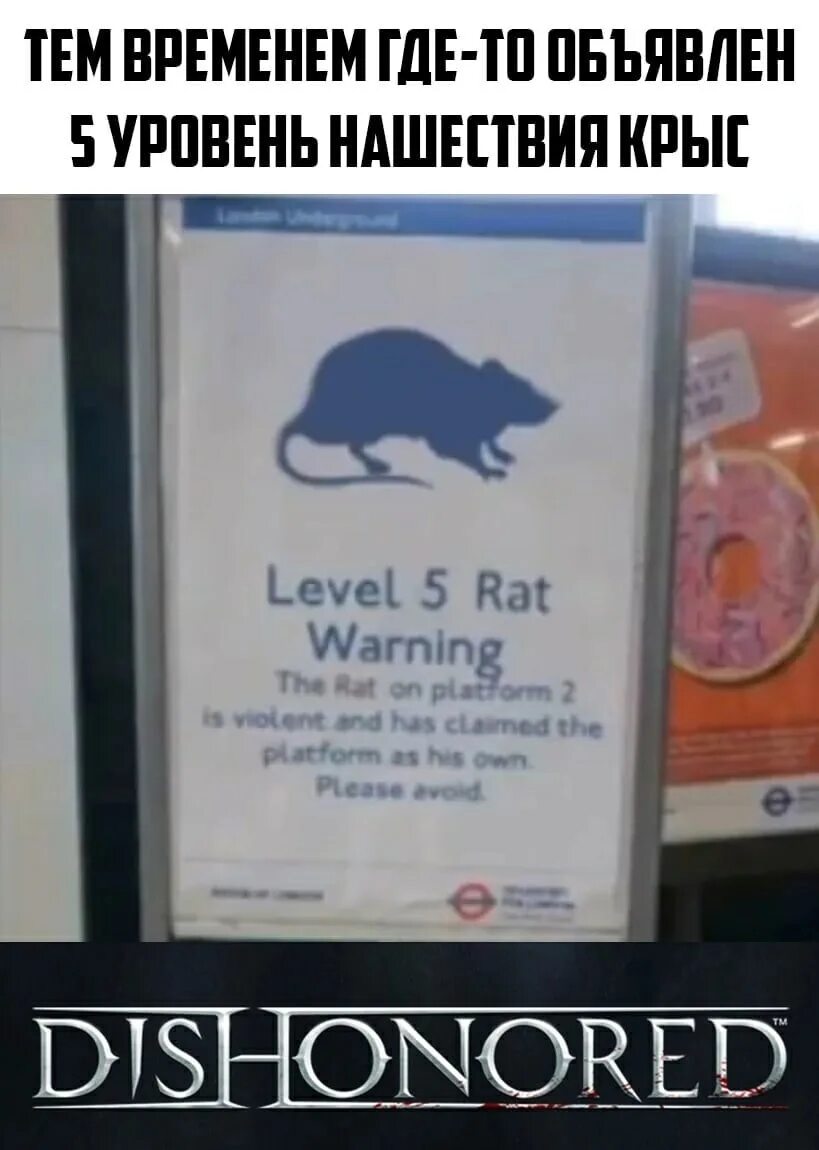 Рата 5. Level 5 rat Warning.