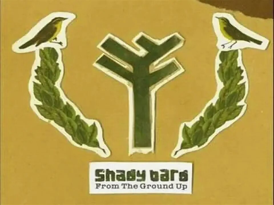 From the ground up. The Bard of Skadi. Shady Bard - from the ground up (2007) обложка альбома.