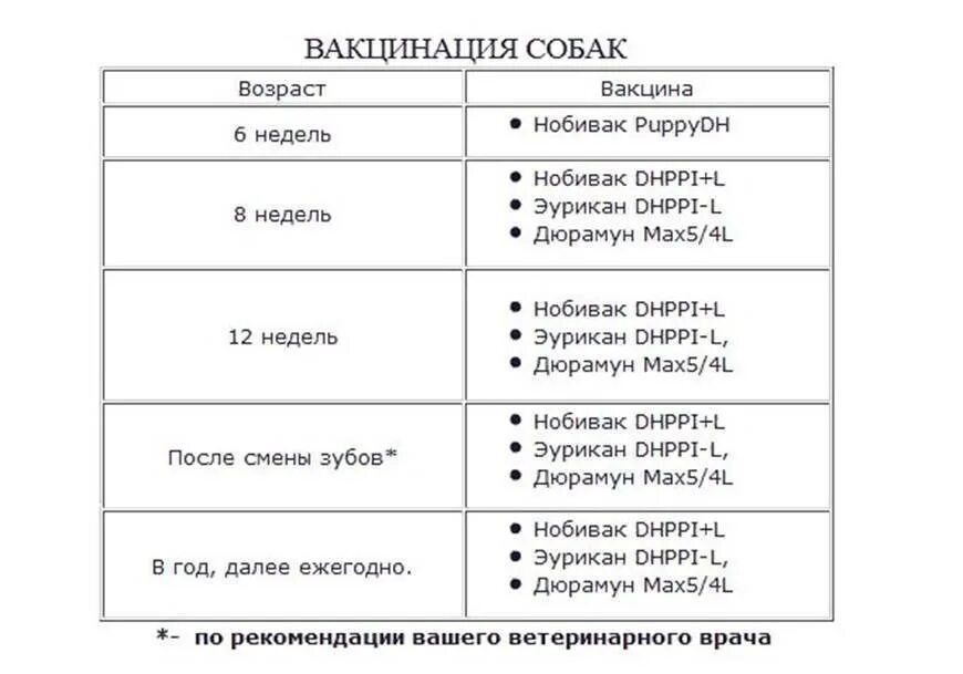 Когда можно гулять с щенком после прививки. Какую прививку делают щенку в 2 месяца. Прививки щенкам по возрасту таблица йоркам. Какие прививки делаются собаке в 1 год. Какие прививки собаке делаются в 2 месяца.