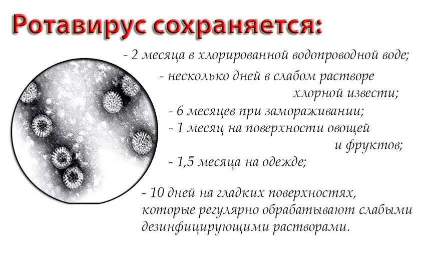 Что такое ротовирусная инфекция ее симптомы. Ротавирус возбудитель заболевания. Ротовирусная кишечная инфекция возбудитель. Ротавирусная инфекция у детей. Ротавирусная инфекция у детей симптомы.