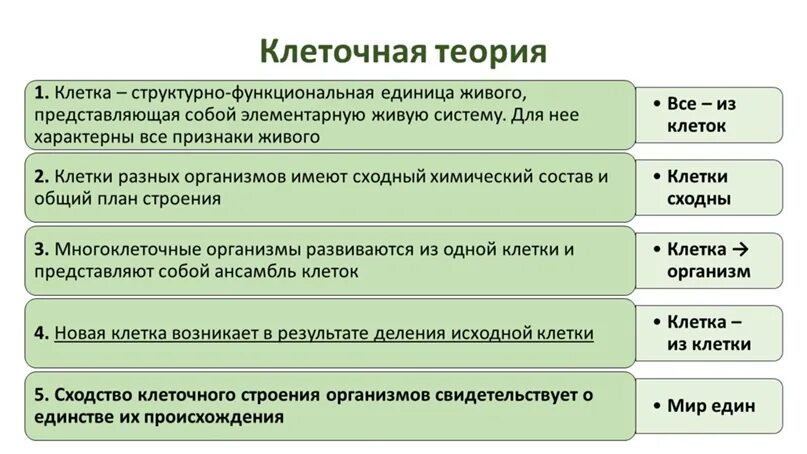 Области биологии 5. Клеточная теория биология. Теория это в биологии. Основные теории биологии. Биология ЕГЭ теория.