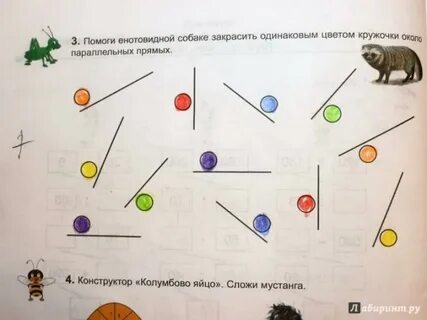 Эрудит математика с увлечениями