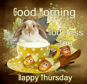 Thursday morning
