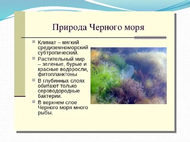По морским просторам - презентация, доклад, проект скачать