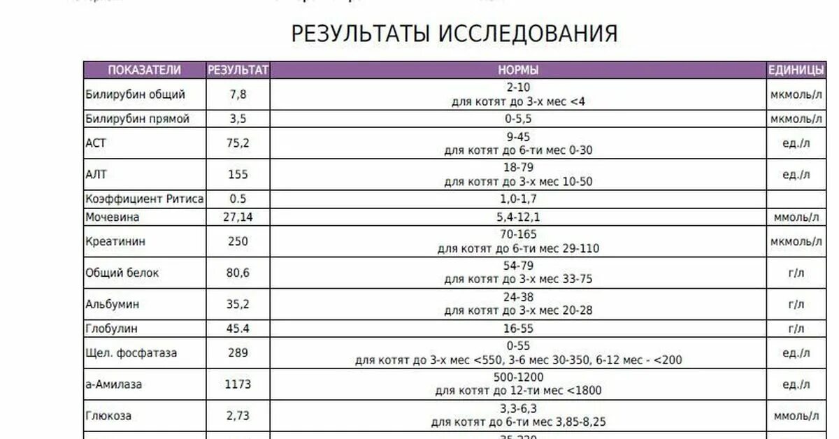 Можно получить результат анализа крови. Биохимическое исследование крови собак норма. Биохимия крови собаки показатели. Анализ крови у собаки биохимия расшифровка. Нормы крови собак биохимия анализ.