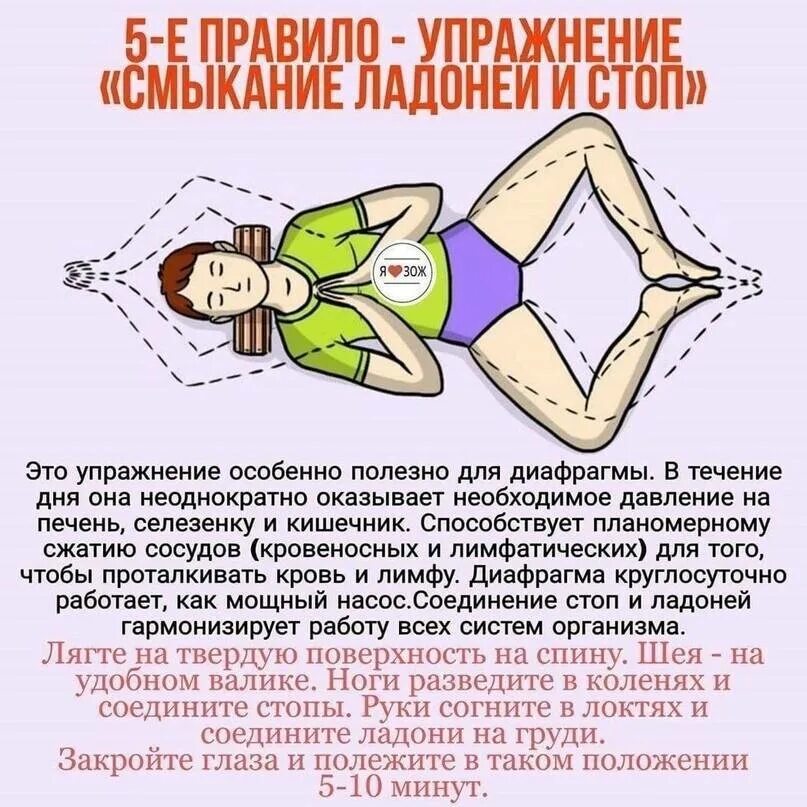 Упражнения по системе ниши. Комплекс упражнений ниши кацудзо гимнастика. Вибрационная гимнастика кацудзо ниши. Шесть золотых правил кацудзо ниши. Ниши кацудзо гимнастика золотая рыбка.