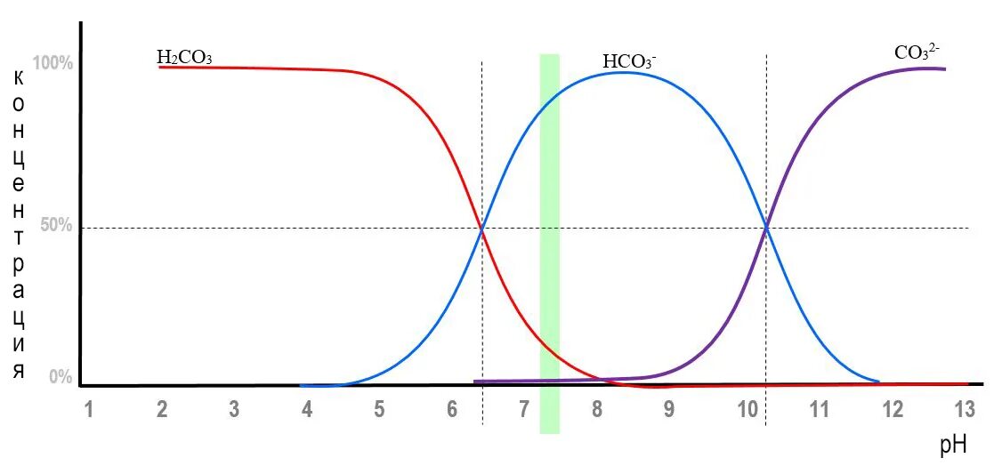 график зависимости ферментативной реакции от ph. зависимость ферментативной реакции от ph. диаграмма распределения. зависит от рн. зависимость скорости ферментативной реакции от рн.