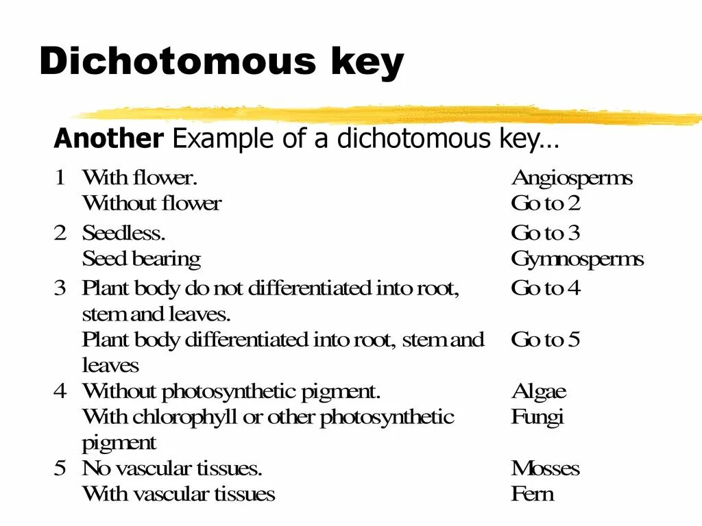 Powerpoint keys. Dichotomous key. dichotomous key examples. creating dichotomous key. powerpoint key.